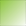 Neon-zelena